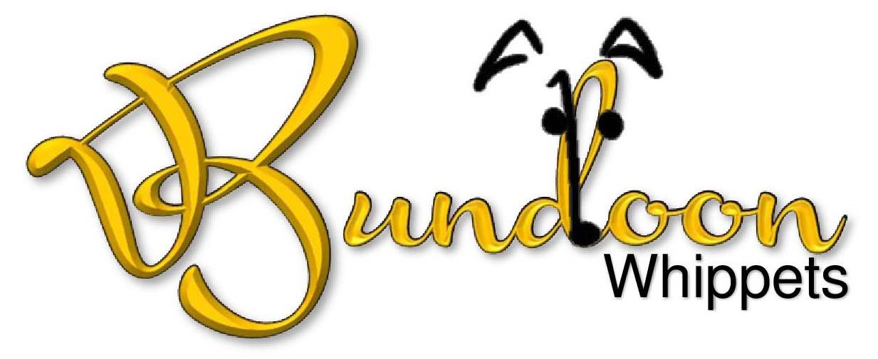 bundoon